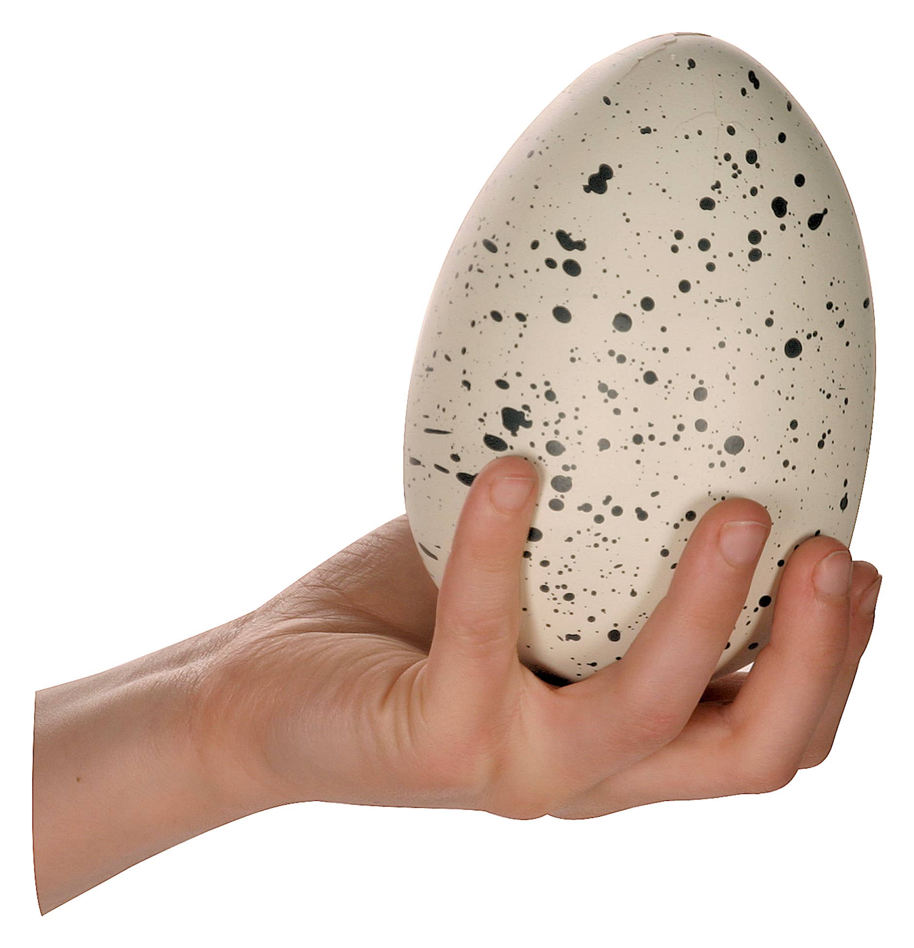 Ginormous Hatchin' Grow Dino Egg, Just Add Water - The Continental Ranch